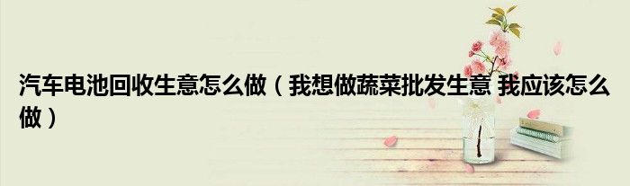 汽车电池回收生意怎么做（我想做蔬菜批发生意 我应该怎么做）