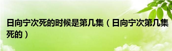 日向宁次死的时候是第几集（日向宁次第几集死的）