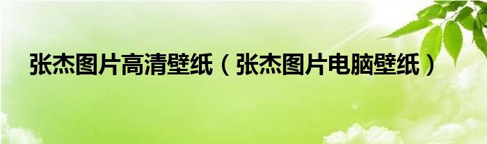 张杰图片高清壁纸（张杰图片电脑壁纸）
