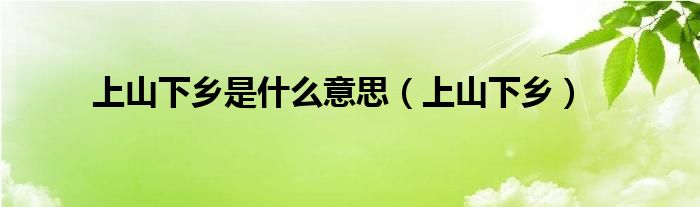 上山下乡是什么意思（上山下乡）