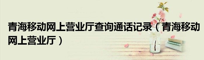 青海移动网上营业厅查询通话记录（青海移动网上营业厅）