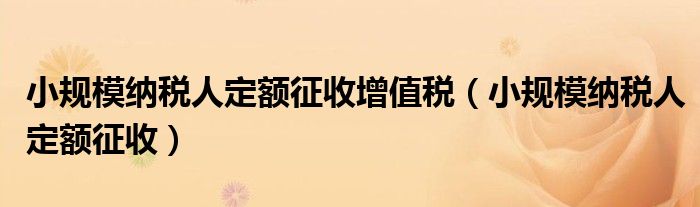 小规模纳税人定额征收增值税（小规模纳税人定额征收）