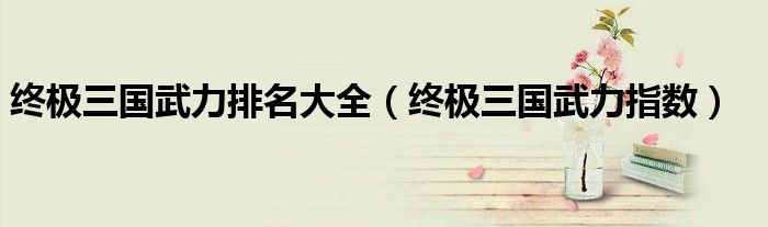 终极三国武力排名大全（终极三国武力指数）
