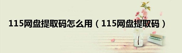 115网盘提取码怎么用（115网盘提取码）