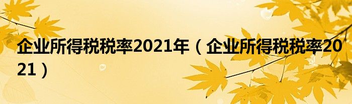 企业所得税税率2021年（企业所得税税率2021）