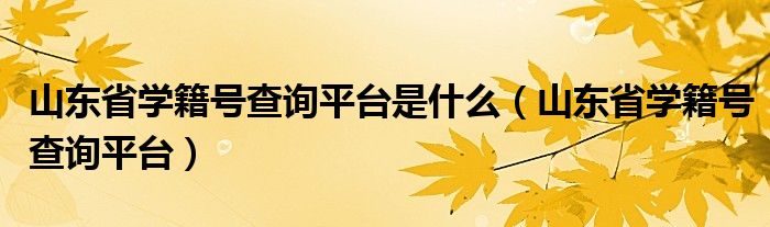 山东省学籍号查询平台是什么（山东省学籍号查询平台）