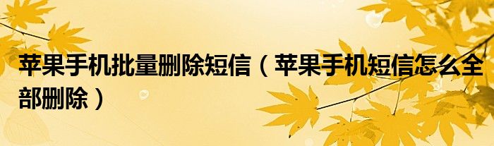苹果手机批量删除短信（苹果手机短信怎么全部删除）