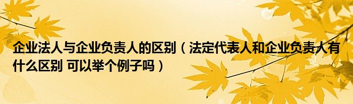 企业法人与企业负责人的区别（法定代表人和企业负责人有什么区别 可以举个例子吗）