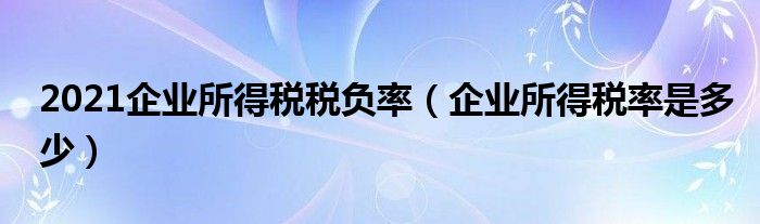 2021企业所得税税负率（企业所得税率是多少）