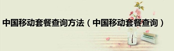 中国移动套餐查询方法（中国移动套餐查询）