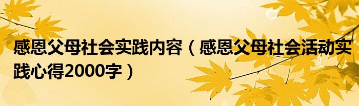 感恩父母社会实践内容（感恩父母社会活动实践心得2000字）
