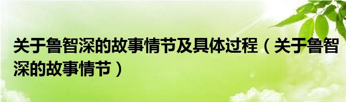 关于鲁智深的故事情节及具体过程（关于鲁智深的故事情节）