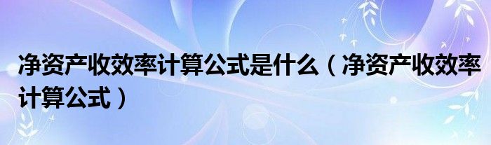 净资产收效率计算公式是什么（净资产收效率计算公式）
