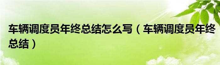 车辆调度员年终总结怎么写（车辆调度员年终总结）