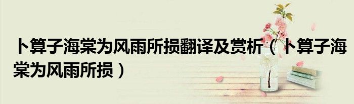 卜算子海棠为风雨所损翻译及赏析（卜算子海棠为风雨所损）