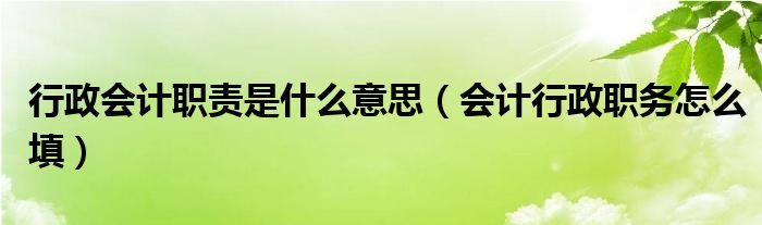 行政会计职责是什么意思（会计行政职务怎么填）