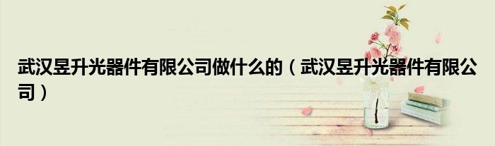 武汉昱升光器件有限公司做什么的（武汉昱升光器件有限公司）
