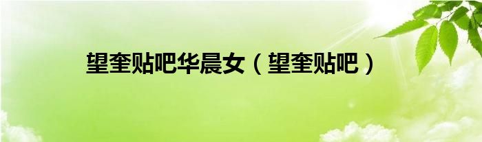 望奎贴吧华晨女（望奎贴吧）