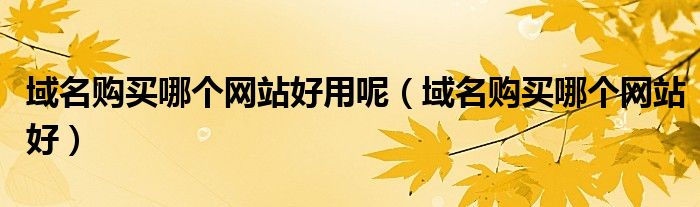 域名购买哪个网站好用呢（域名购买哪个网站好）