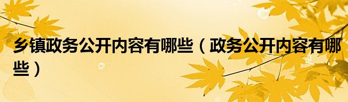 乡镇政务公开内容有哪些（政务公开内容有哪些）