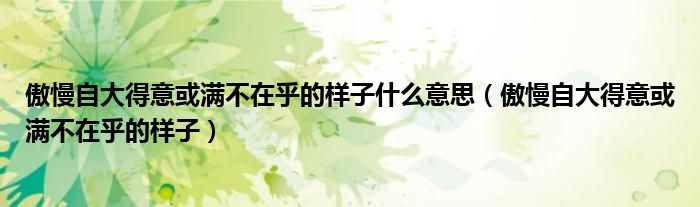 傲慢自大得意或满不在乎的样子什么意思（傲慢自大得意或满不在乎的样子）