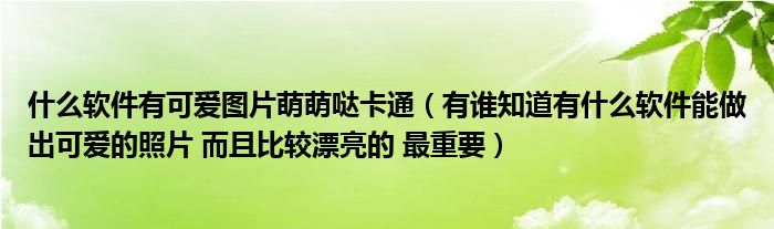 什么软件有可爱图片萌萌哒卡通（有谁知道有什么软件能做出可爱的照片 而且比较漂亮的 最重要）