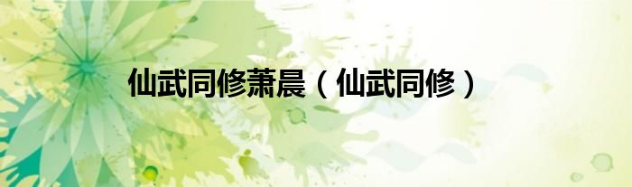 仙武同修萧晨（仙武同修）