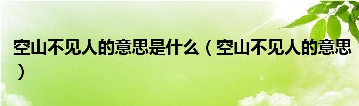 空山不见人的意思是什么（空山不见人的意思）