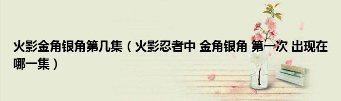 火影金角银角第几集（火影忍者中 金角银角 第一次 出现在哪一集）
