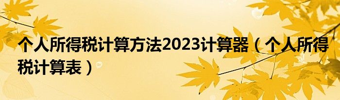 个人所得税计算方法2023计算器（个人所得税计算表）
