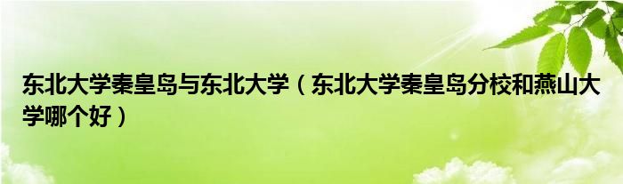 东北大学秦皇岛与东北大学（东北大学秦皇岛分校和燕山大学哪个好）