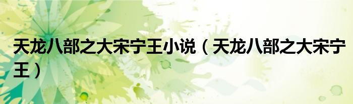天龙八部之大宋宁王小说（天龙八部之大宋宁王）