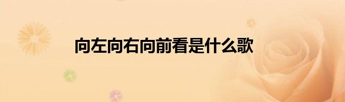 向左向右向前看是什么歌