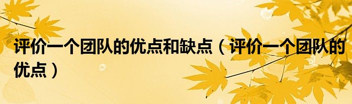 评价一个团队的优点和缺点（评价一个团队的优点）
