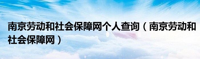 南京劳动和社会保障网个人查询（南京劳动和社会保障网）