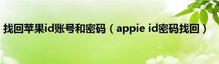 找回苹果id账号和密码（appie id密码找回）