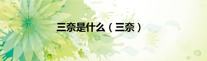 三奈是什么（三奈）