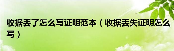 收据丢了怎么写证明范本（收据丢失证明怎么写）