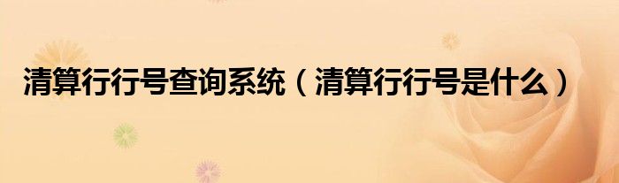 清算行行号查询系统（清算行行号是什么）