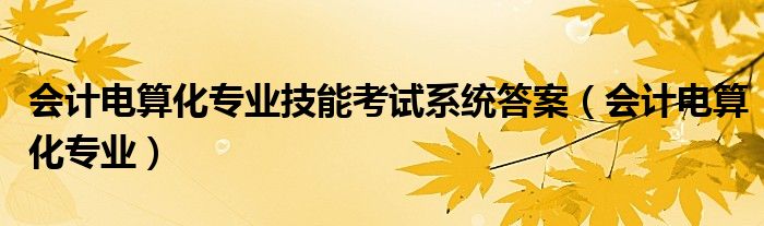 会计电算化专业技能考试系统答案（会计电算化专业）