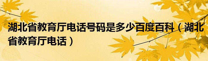 湖北省教育厅电话号码是多少百度百科（湖北省教育厅电话）