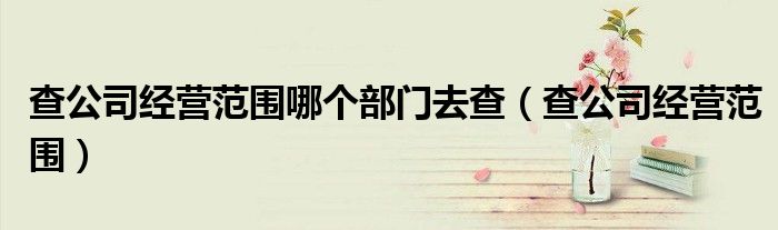 查公司经营范围哪个部门去查（查公司经营范围）
