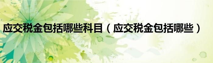 应交税金包括哪些科目（应交税金包括哪些）