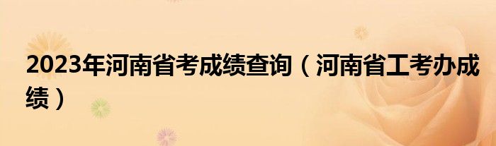 2023年河南省考成绩查询（河南省工考办成绩）