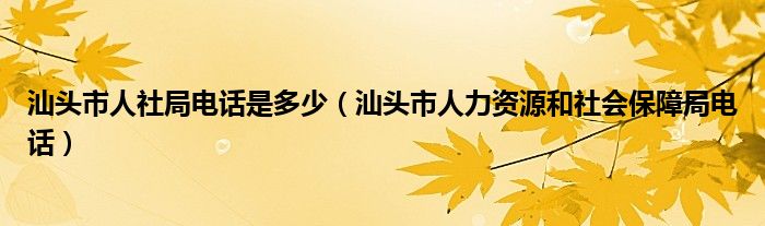 汕头市人社局电话是多少（汕头市人力资源和社会保障局电话）