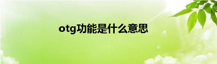 otg功能是什么意思