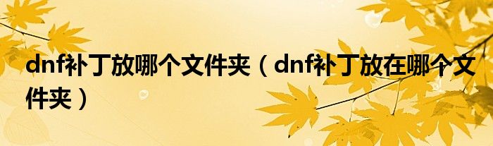 dnf补丁放哪个文件夹（dnf补丁放在哪个文件夹）