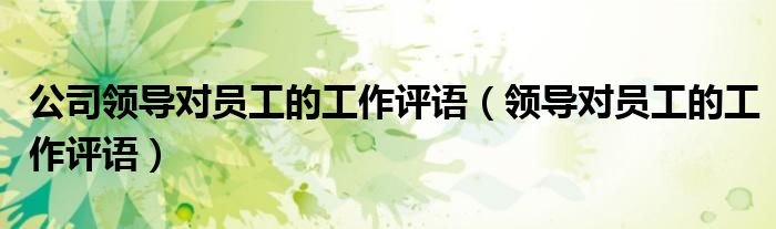 公司领导对员工的工作评语（领导对员工的工作评语）