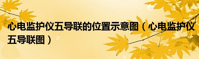 心电监护仪五导联的位置示意图（心电监护仪五导联图）