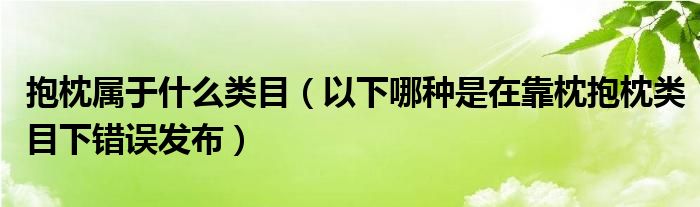 抱枕属于什么类目（以下哪种是在靠枕抱枕类目下错误发布）